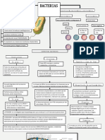 Mapa Conceptual de Las Bacterias 2