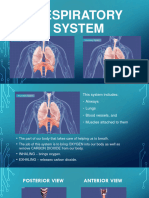 5. Respiratory System
