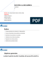 Bio Síntesis de Las Proteínas