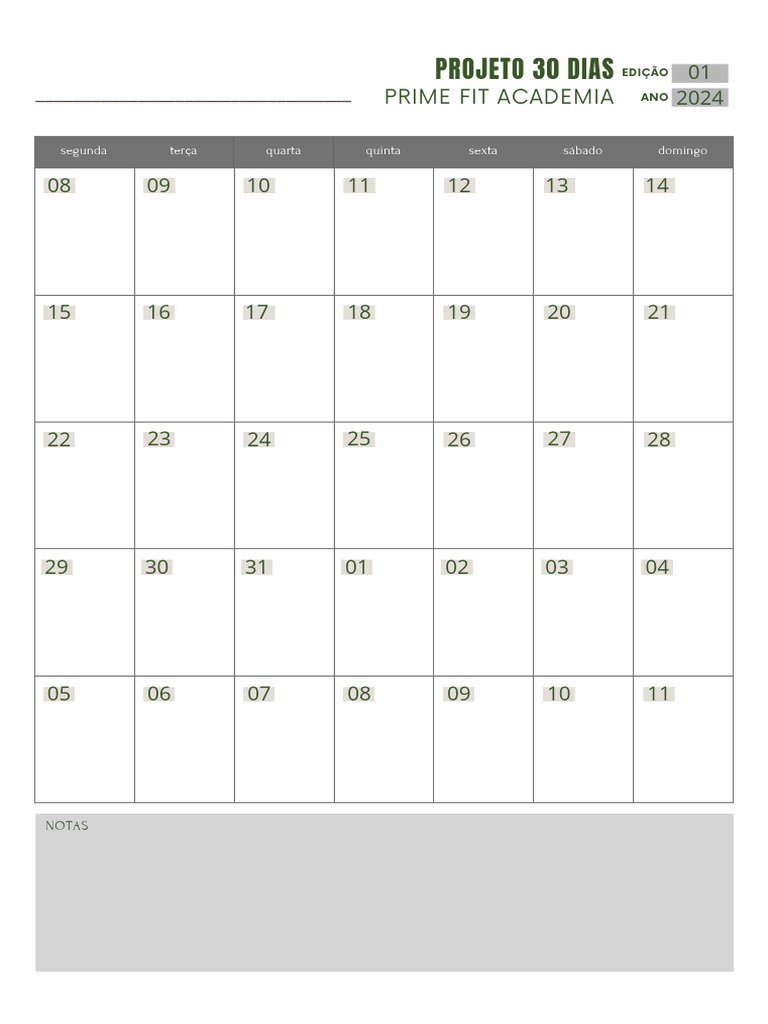 Planner De 30 Dias