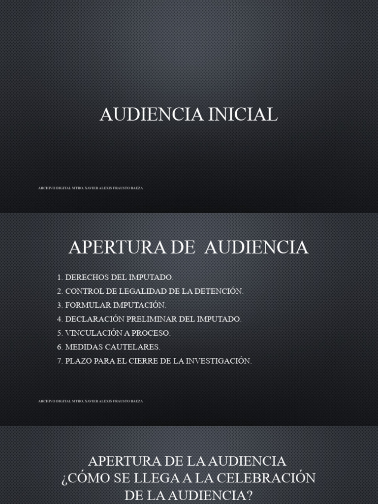 Proceso de Audiencia Inicial en Derecho Penal | PDF | Mandato ...