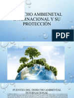 DERECHO AMBIENETAL INTERNACIONAL Y SU PROTECCIÓN