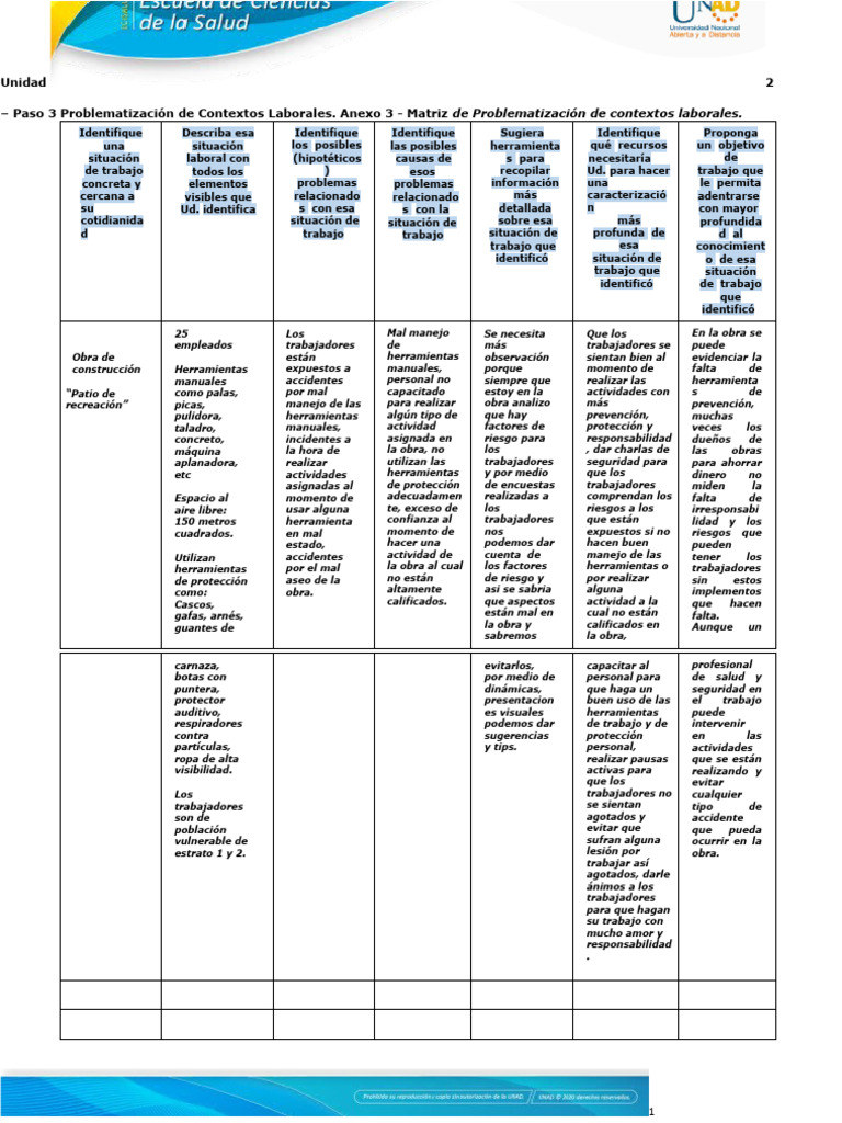 Anexo 3 - Matriz de Problematización de Contextos Laborales | PDF