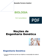 Engenharia Genética