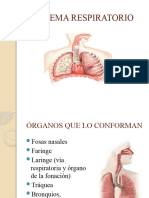 12 Sistema Respiratorio