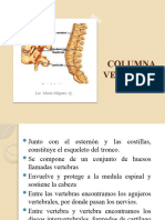 3 Columna Vertebral