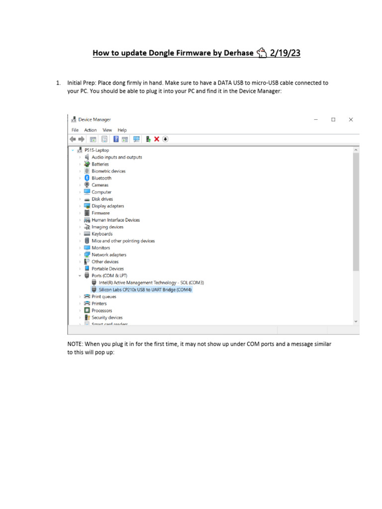 Dongle Firmware Update Guide | PDF | Usb | Computer Architecture