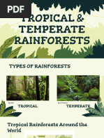 Amazon Rainforest Map Pdf