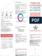PDF Folleto Citologia y Cancer de Cervix