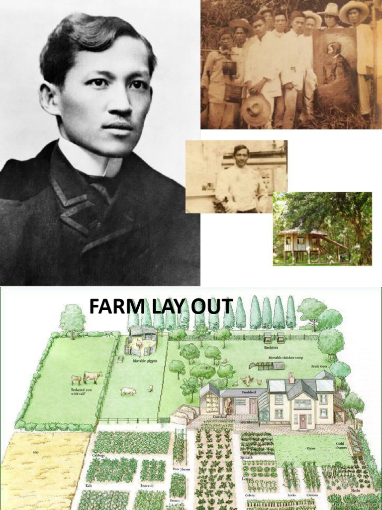 Essential Farm Layouts for Crop Success | PDF