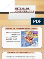 PPT CLASE 9