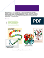 Bio203 Protein Structure