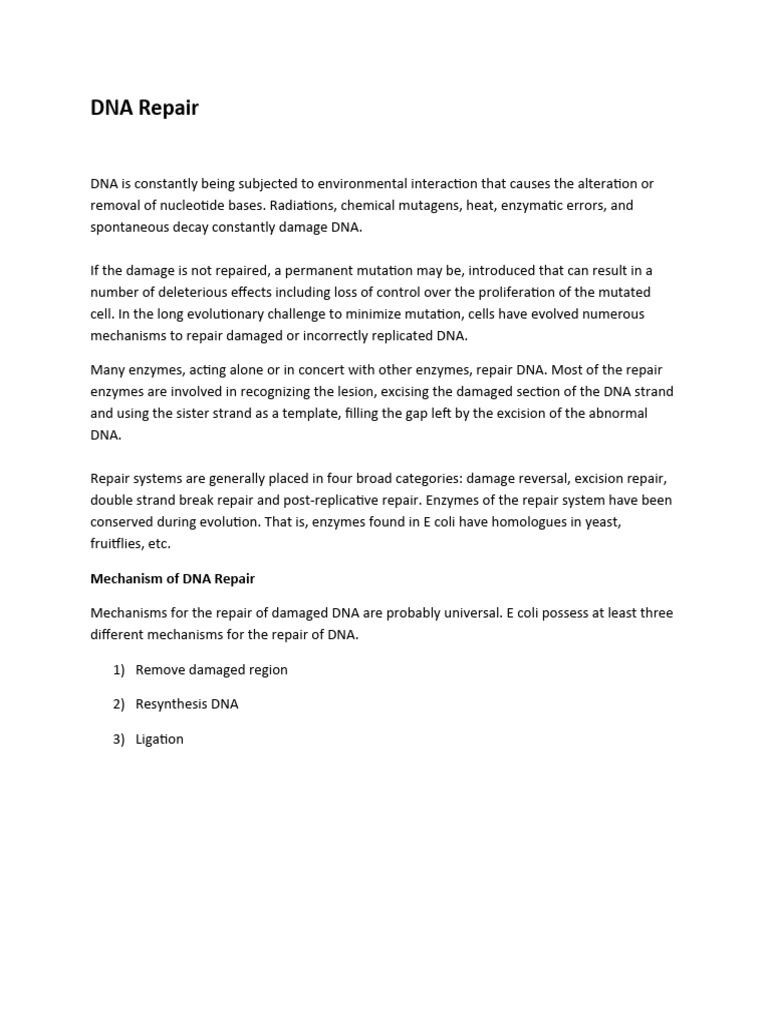 DNA Repair Mechanisms Overview | PDF | Dna Repair | Dna
