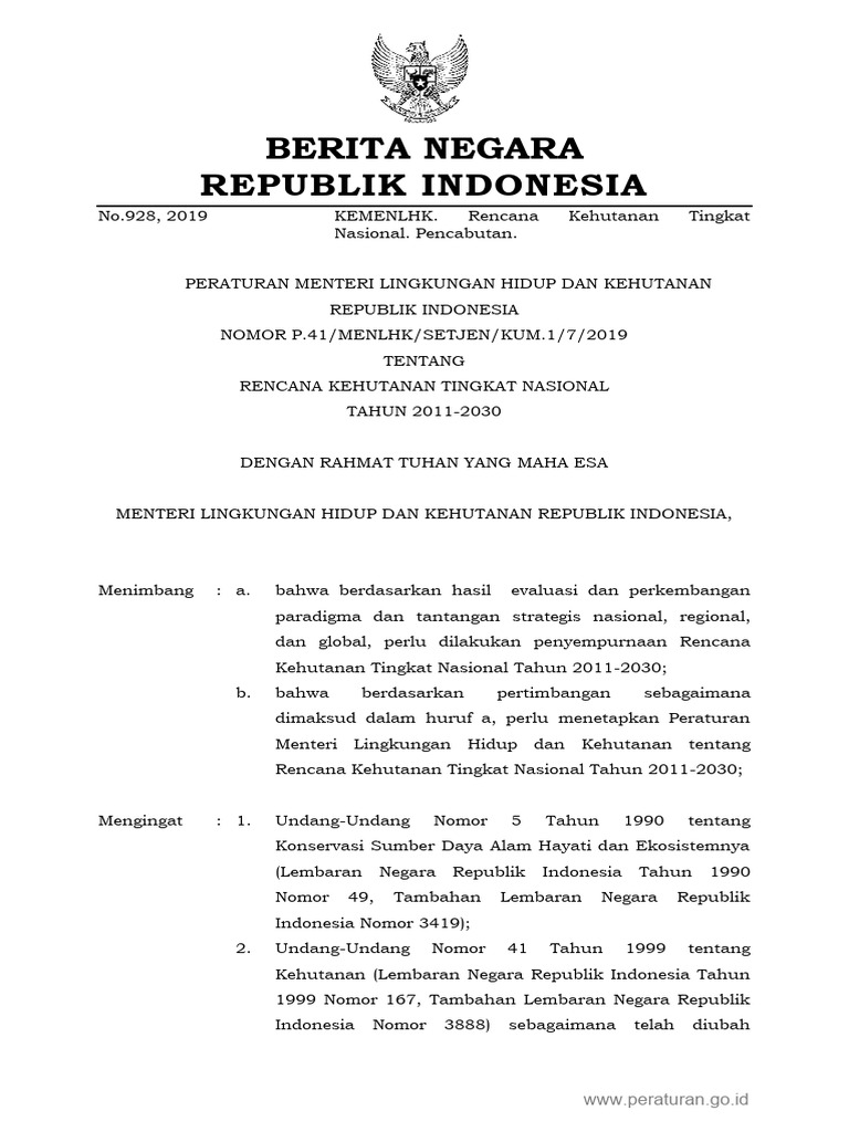 RKTN 2011 2030 Revisi | PDF