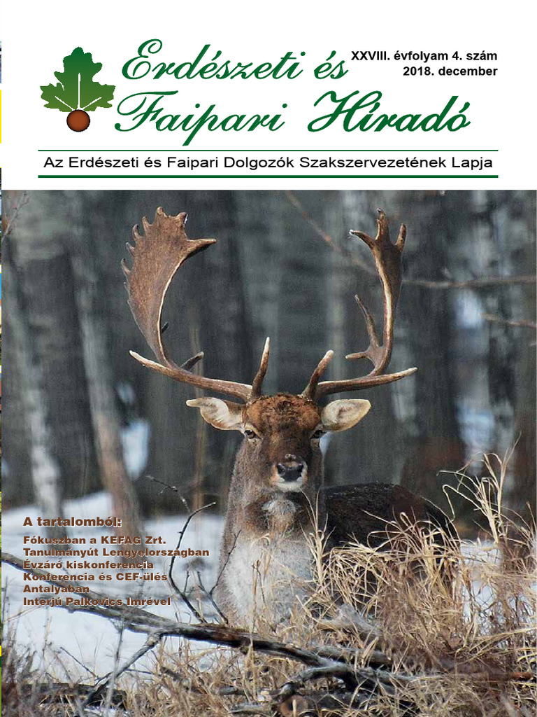 2018 4 ErFa Hirado | PDF