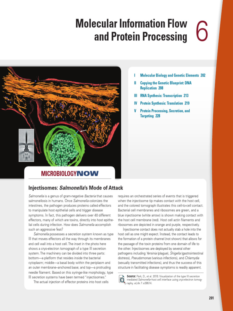 Chapter 6 Unit 2 Brock Biology of Microorganisms, eBook, Global Edition ...
