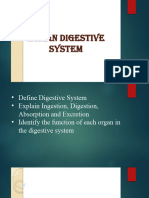 Digestive System111