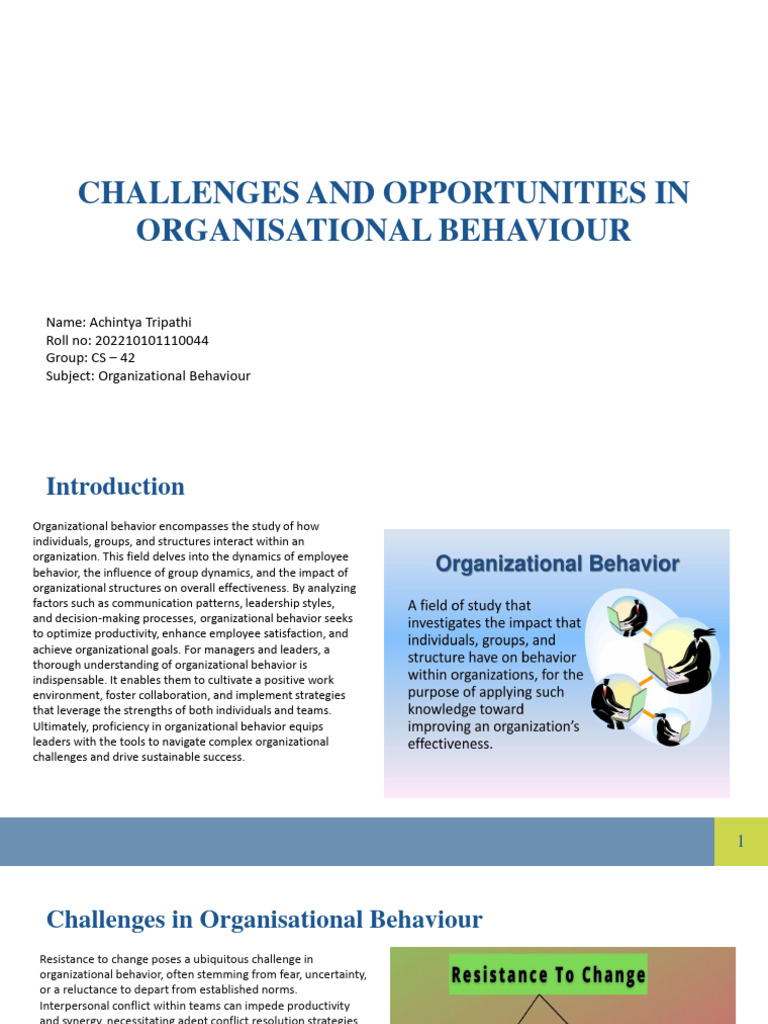 Organizational Behavior Insights: Challenges & Opportunities | PDF ...