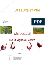 Luxe Et Vin Oenologie Compressé
