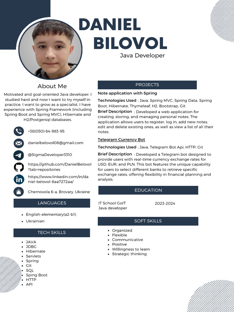 Java Developer Portfolio Overview | PDF | Spring Framework | Software ...
