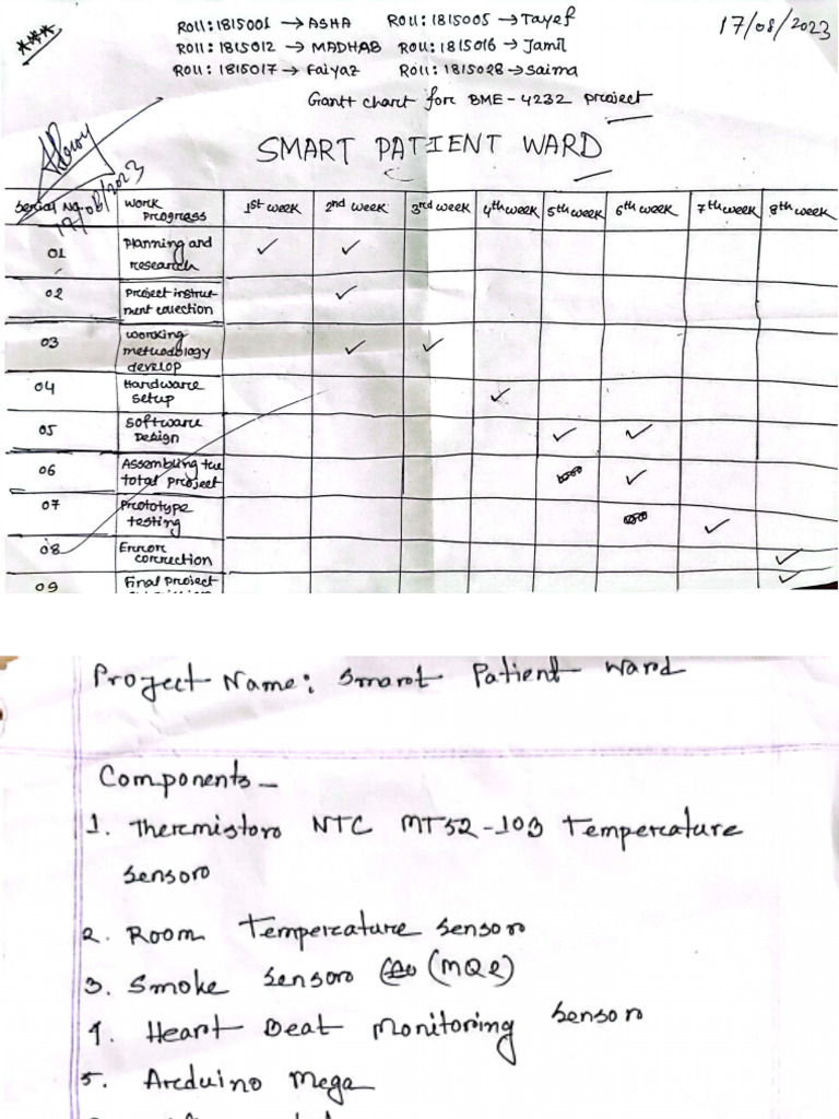 Raf Sheet | PDF