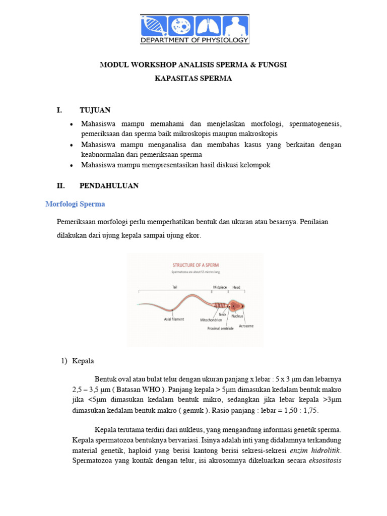 Sasha Rose va uchta qora tanli