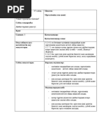 Шашты сұлулар порно видео