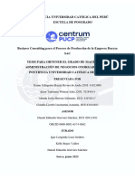 Business Consulting Para El Proceso de Producción de La Empresa Daryza SAC (1)_Bazán