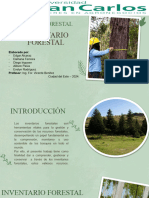 Produccion Forestal PDF