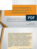 Diversidad Étnica y Cultural Revisado (1)