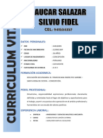 CV Silvio Paucar Final