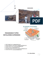 Pedogenese Et Gîtes Metalliferes Supergenes 2024