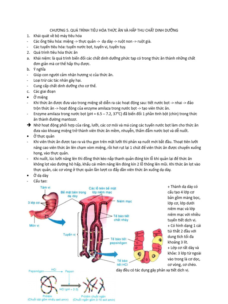 KHDD | PDF