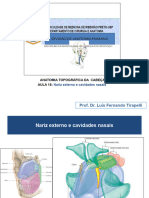 ANATOMIA DA CABEÇA AULA 18 Nariz Externo e Cavidades Nasais