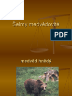 Selmy - Medvedovite - Vyklad - Obrazky 2