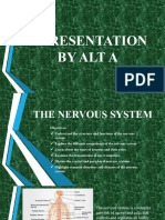 A Presentation On Nervous Physiology (Alt.a)