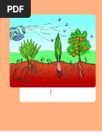 Manual de Alimentacao Mec