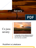 Savany