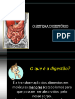 O Sistema Digestrio