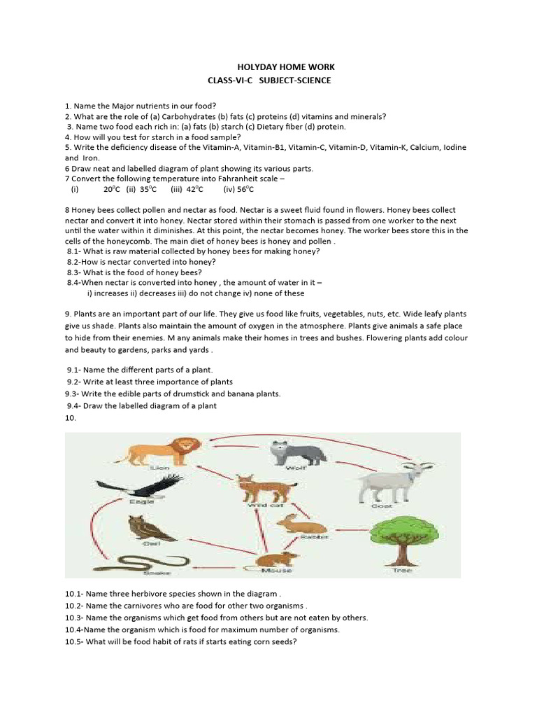 Class 6 Science Holiday Homework | PDF | Foods | Honey