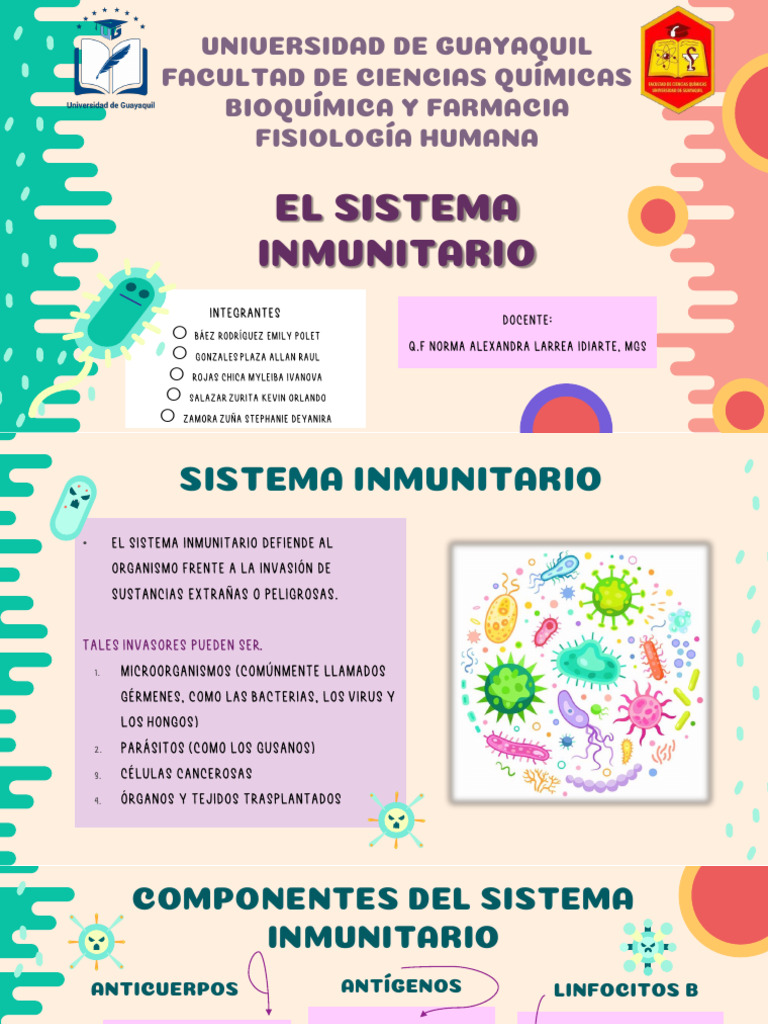 Grupal 8 Sistema Inmunitario Pdf