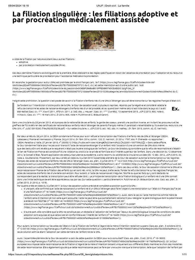 Filiation adoptive et GPA en droit français | PDF | Adoption ...