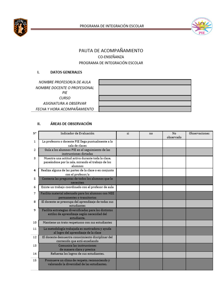 Pauta de Acompañamiento PIE | PDF | Maestros | Aprendizaje