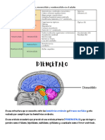 DIENCEFALO