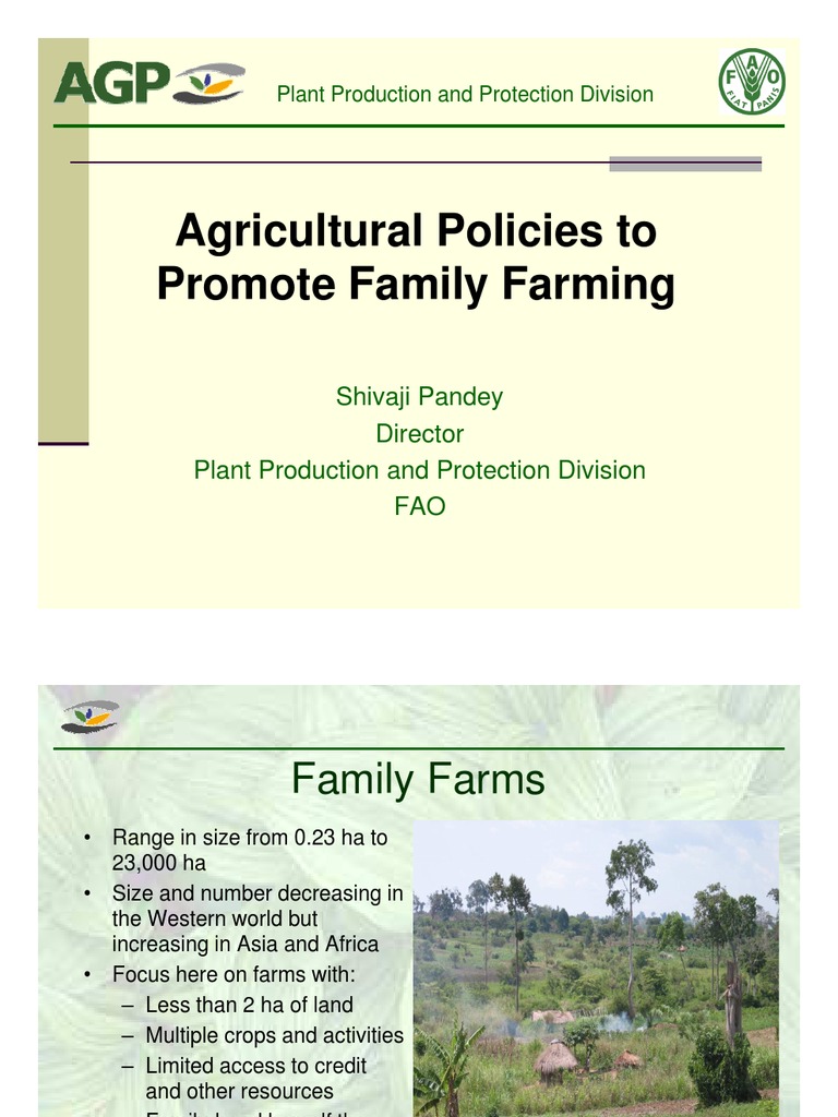 Policies Supporting Family Farming | PDF