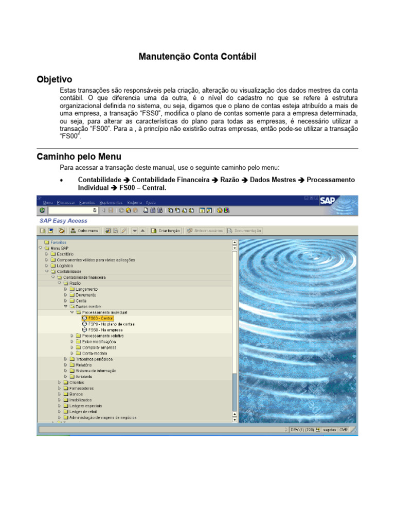 Manutenção de Conta Contábil SAP | PDF | Contabilidade | Impostos
