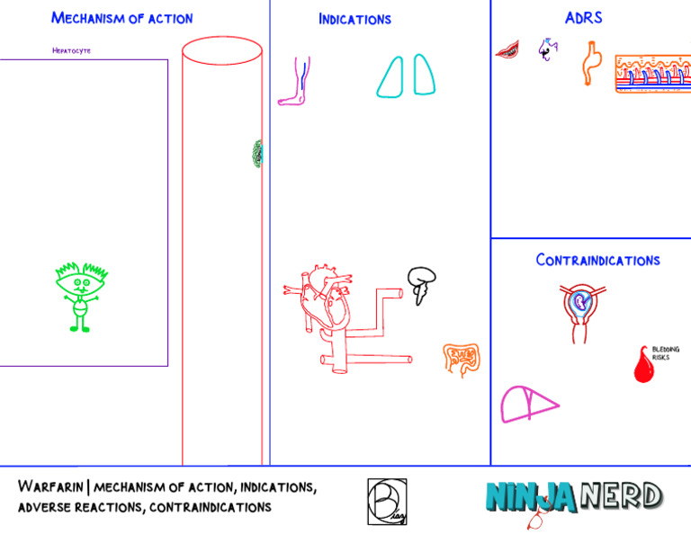 Warfarin mechanism of action indications adverse reactions