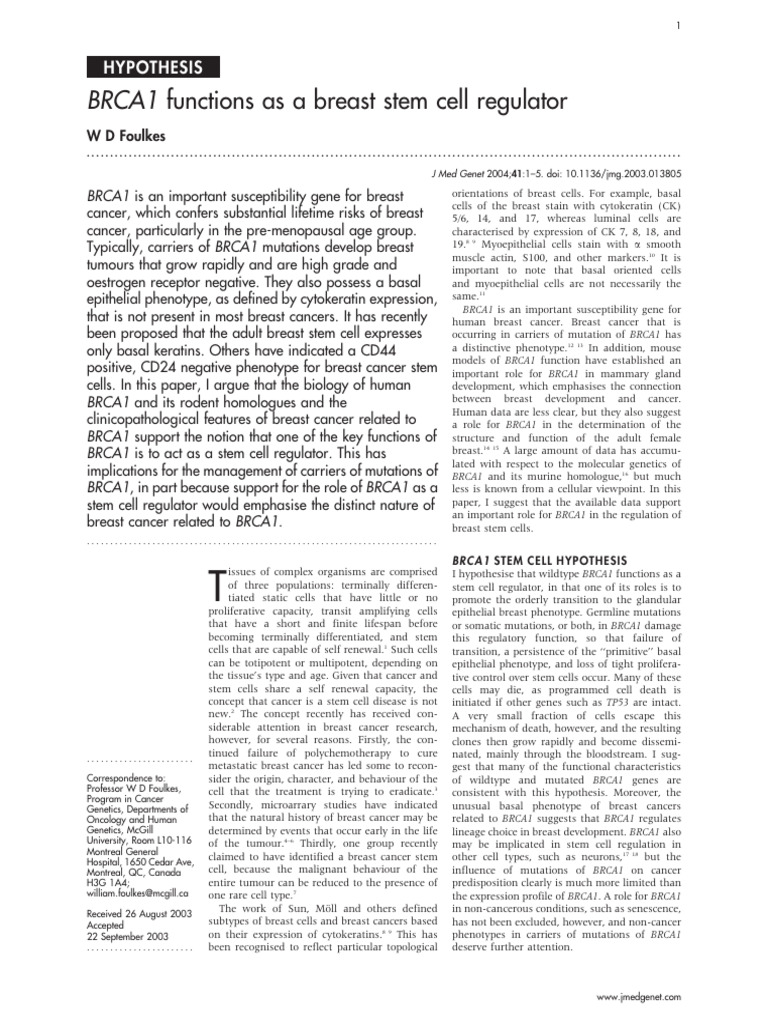 BRCA1 as a Breast Stem Cell Regulator | PDF | Breast Cancer | Cancer
