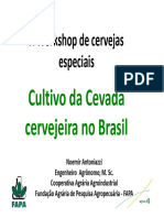 Cultivo de Cevada Cervejeira 1596198955523