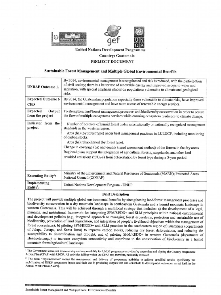 Prodoc Final | PDF